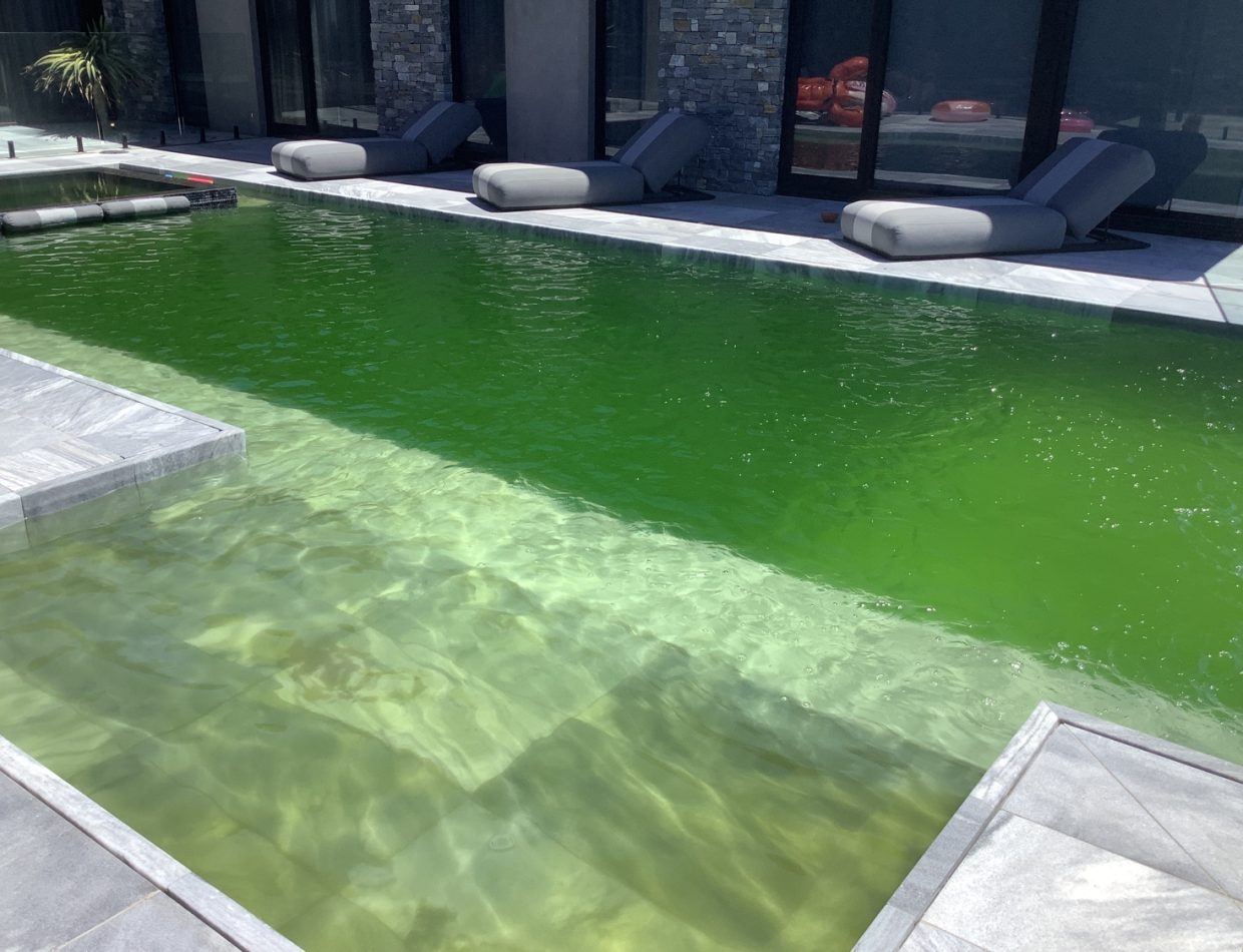 green pool